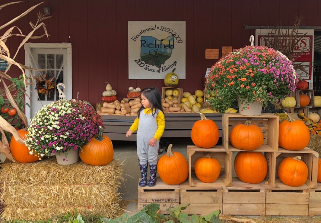 12 Pumpkin Patch and Fall Family Fun Around Akron